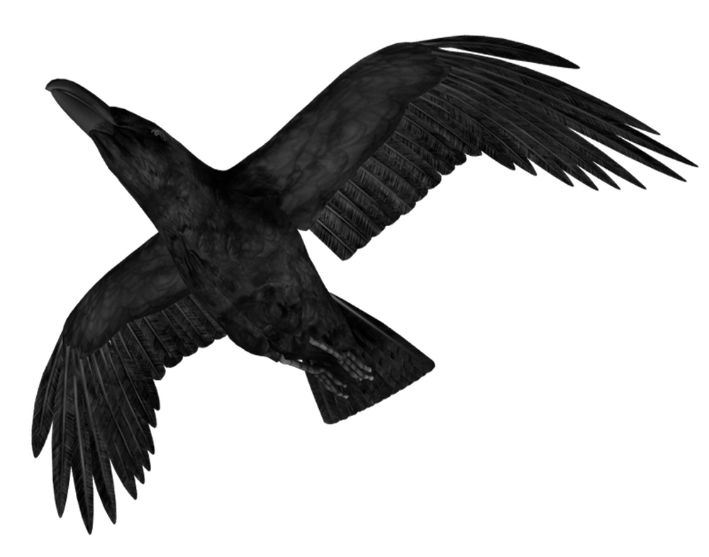 Crow 2 Superior-Stock
